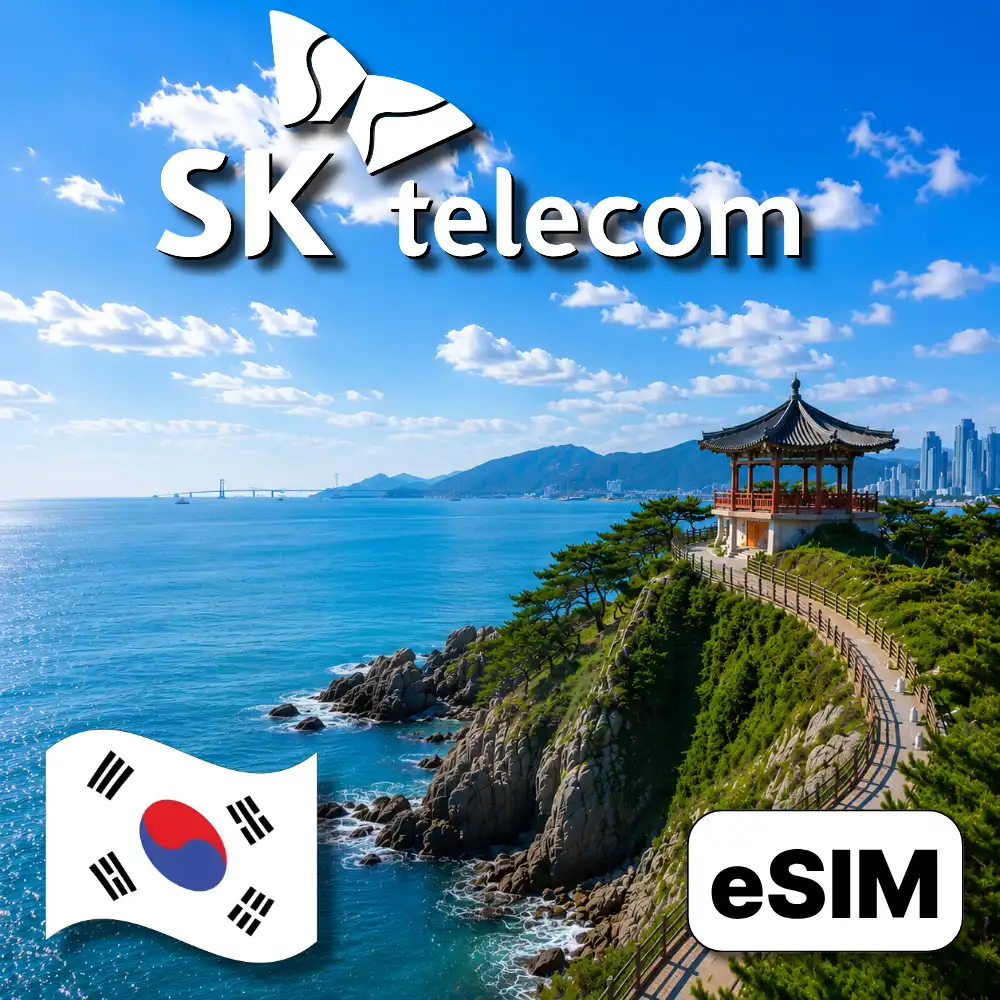 SKT (전화+데이터)